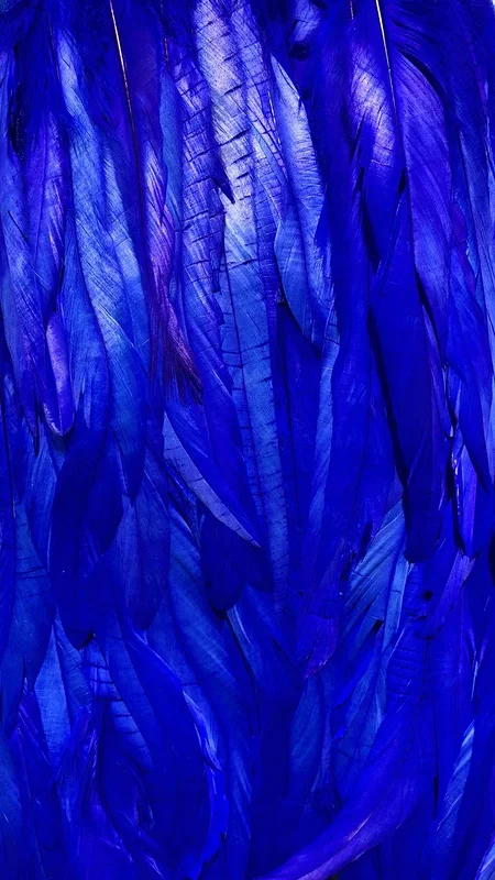 H476c2f31f142465791b3e2c9caff5f29n